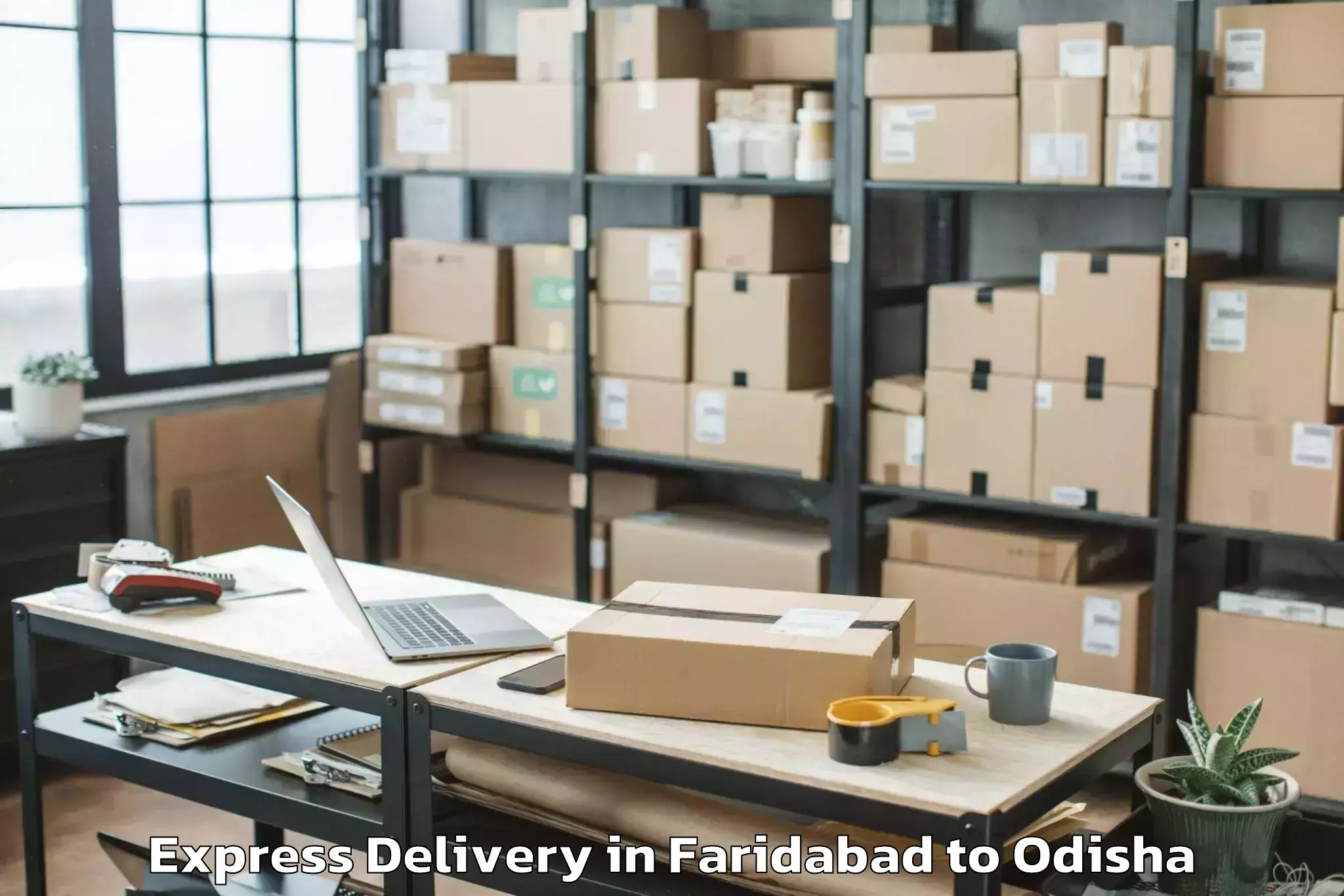 Quality Faridabad to Thuamul Rampur Express Delivery